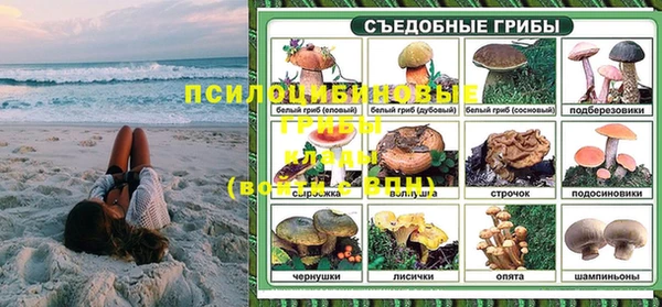 СК Абаза