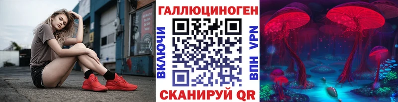 где можно купить   Абдулино  Псилоцибиновые грибы мухоморы 